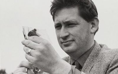 “British Wild Birds in Stereo”.