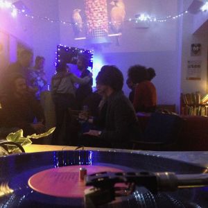 The Wildlife Discotheque Show