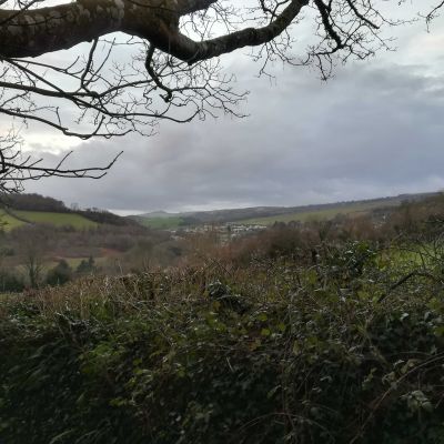 Services - Stellaria Media