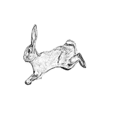 Shows - Agile Rabbit