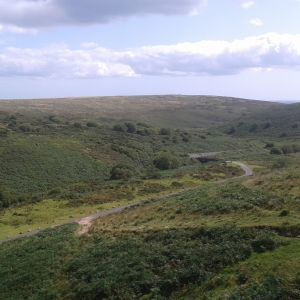 The Field Work  Show