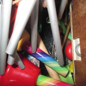 The Swimming in the Stream Show