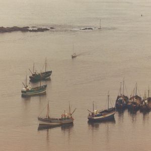 The Estuary Tales Show