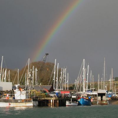 Shows - Estuary Tales