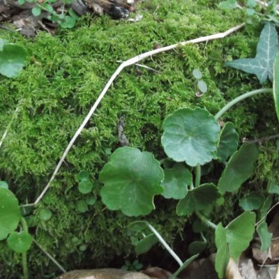 Shows - What are we Talking About Today? with Collette Hurley 